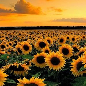 Meet your Posher, Kendra